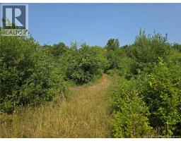 3.7 Acres Route 180, south tetagouche, New Brunswick