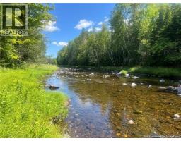 Middle River Road, middle river, New Brunswick
