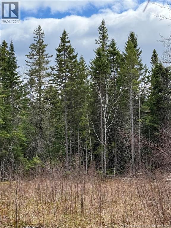 land Route 515, saint-paul, New Brunswick