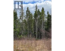 land Route 515, saint-paul, New Brunswick