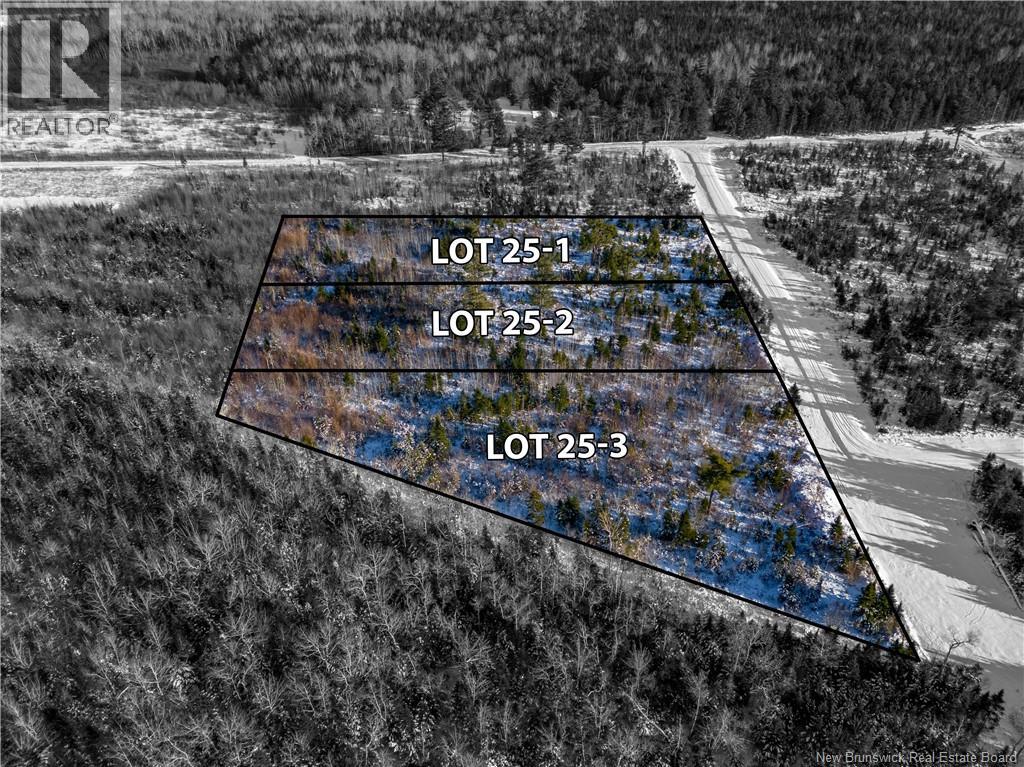 LOT 25-1 Hannay Road, galloway, New Brunswick