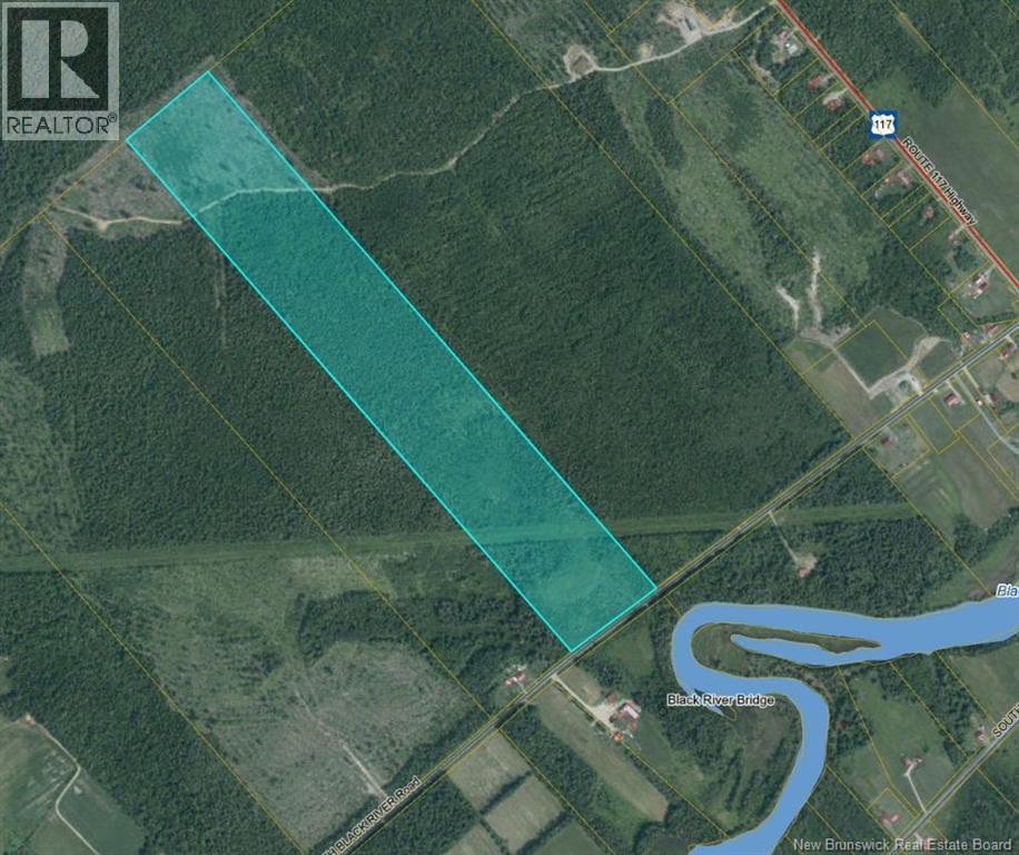 Woodland - NORTH BLACK RIVER RD, black river bridge, New Brunswick