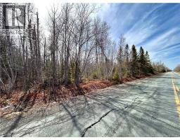 53.1 Acres Route 117, napan, New Brunswick
