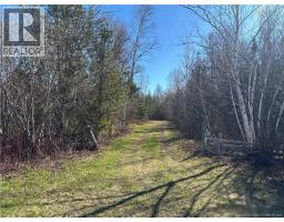 11.98 Acres Chemin Tremblay, tremblay, New Brunswick