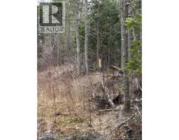 land Route 515, saint-paul, New Brunswick